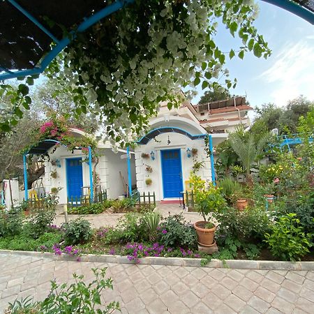 Sunmed Lodge Ölüdeniz Exterior foto