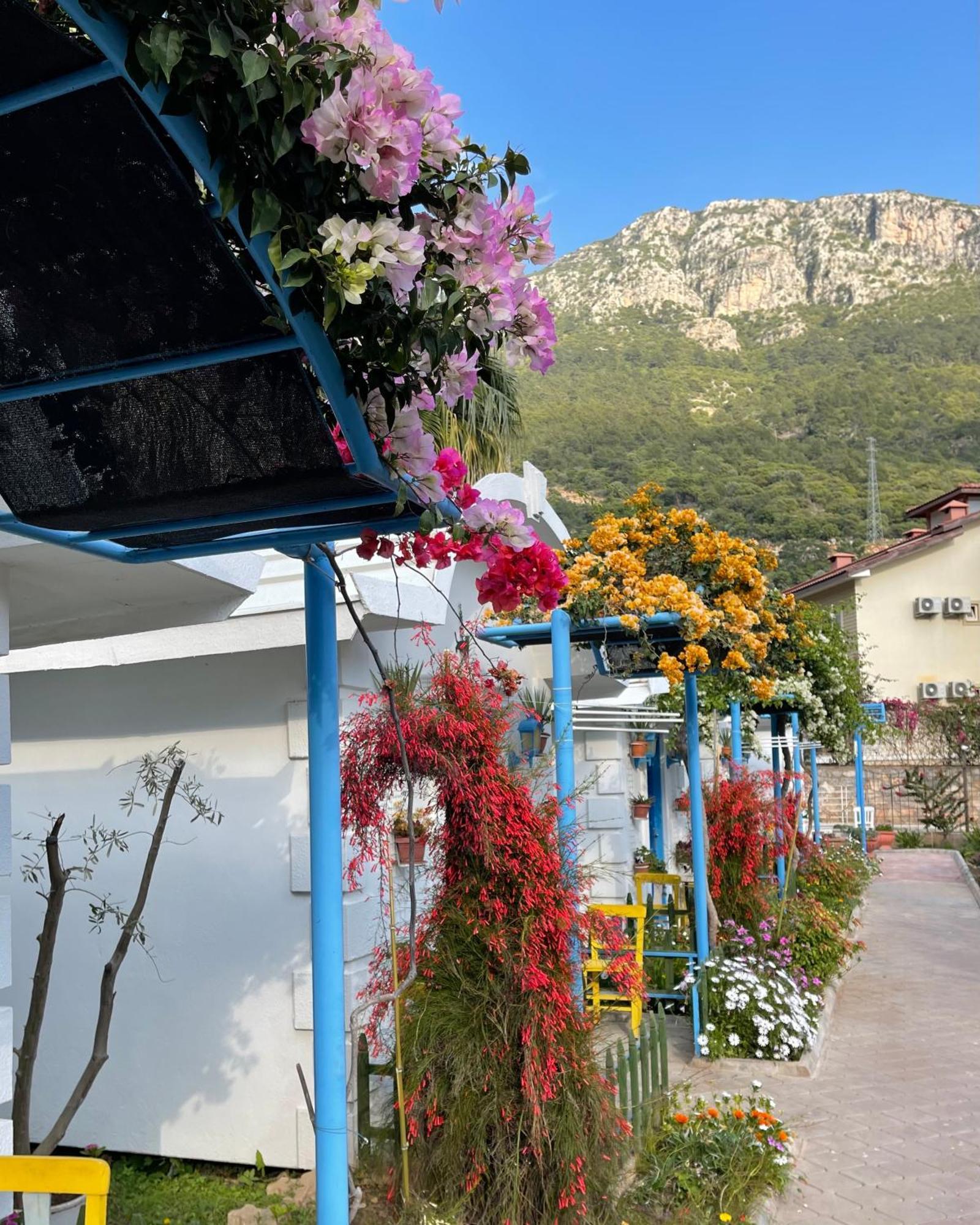 Sunmed Lodge Ölüdeniz Exterior foto